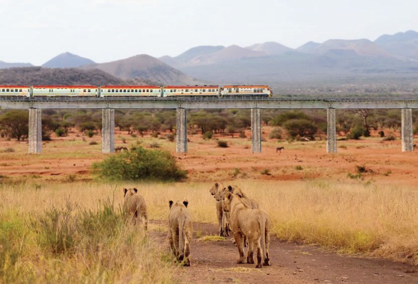 Tsavo scenery from the train